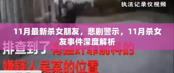 悲剧警示，深度解析11月杀女友事件