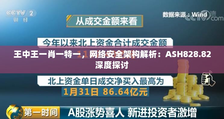 王中王一肖一特一，网络安全架构解析：ASH828.82深度探讨