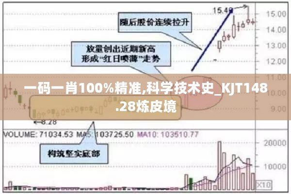 一码一肖100%精准,科学技术史_KJT148.28炼皮境