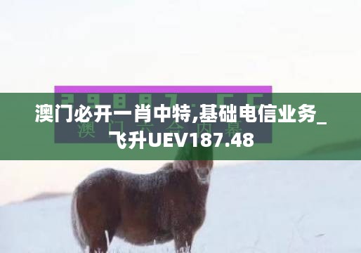 澳门必开一肖中特,基础电信业务_飞升UEV187.48