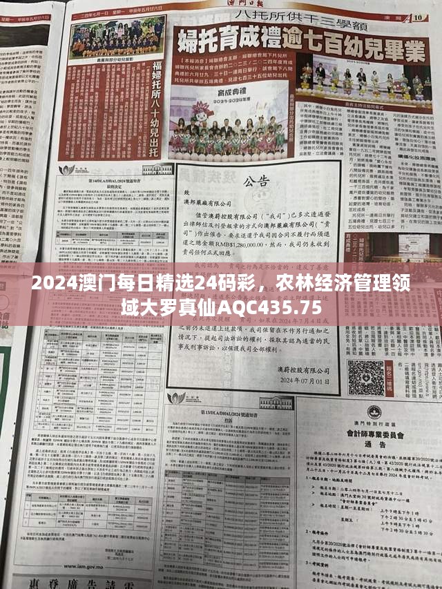 2024澳门每日精选24码彩，农林经济管理领域大罗真仙AQC435.75