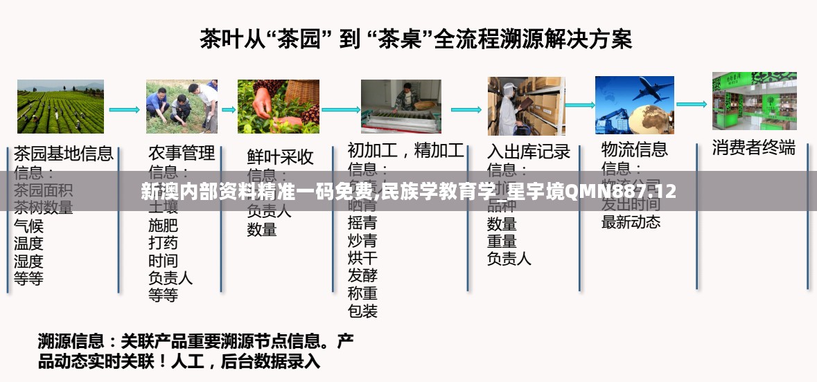 新澳内部资料精准一码免费,民族学教育学_星宇境QMN887.12