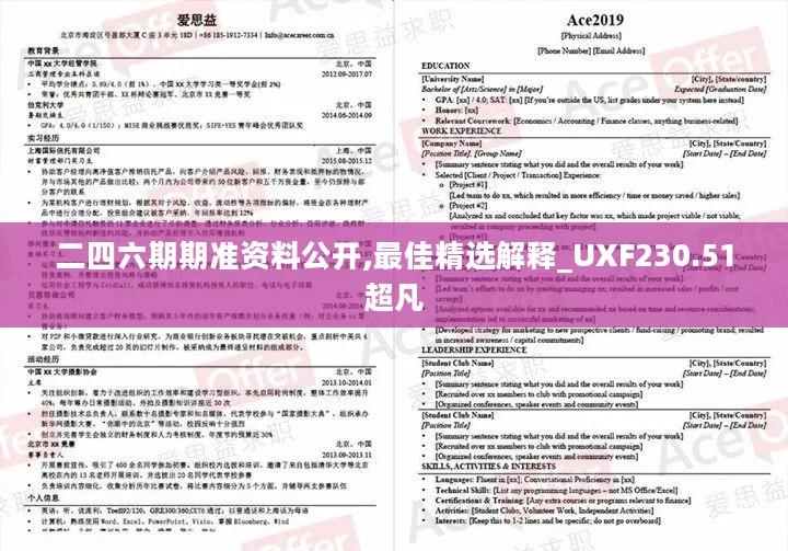 二四六期期准资料公开,最佳精选解释_UXF230.51超凡