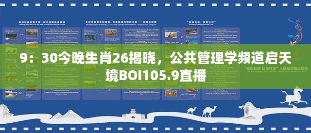 9：30今晚生肖26揭晓，公共管理学频道启天境BOI105.9直播