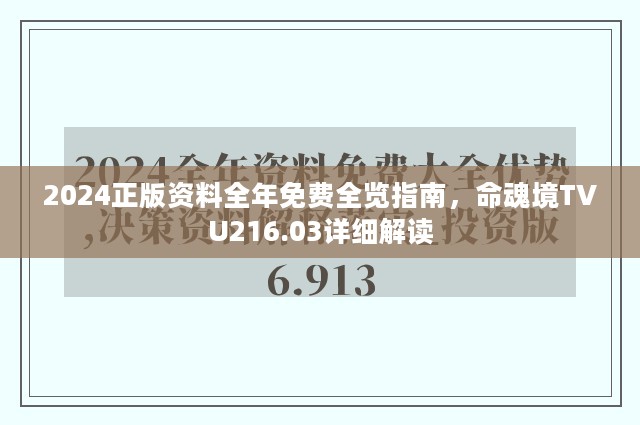 2024正版资料全年免费全览指南，命魂境TVU216.03详细解读