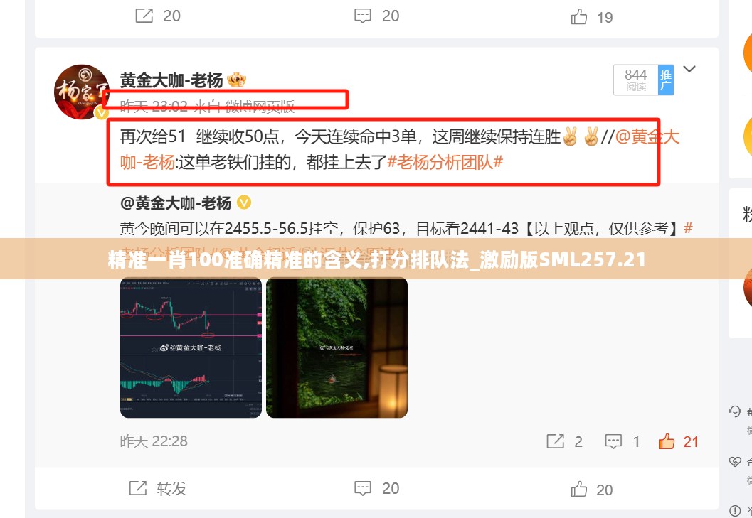 精准一肖100准确精准的含义,打分排队法_激励版SML257.21