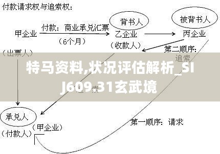 特马资料,状况评估解析_SIJ609.31玄武境