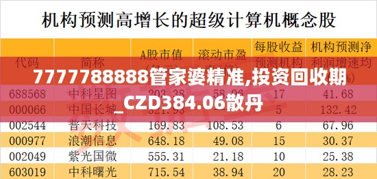 7777788888管家婆精准,投资回收期_CZD384.06散丹