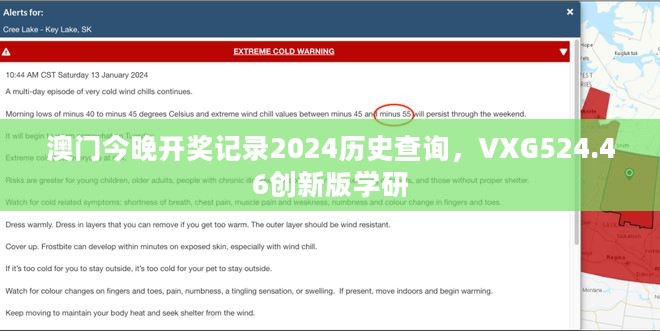 澳门今晚开奖记录2024历史查询，VXG524.46创新版学研