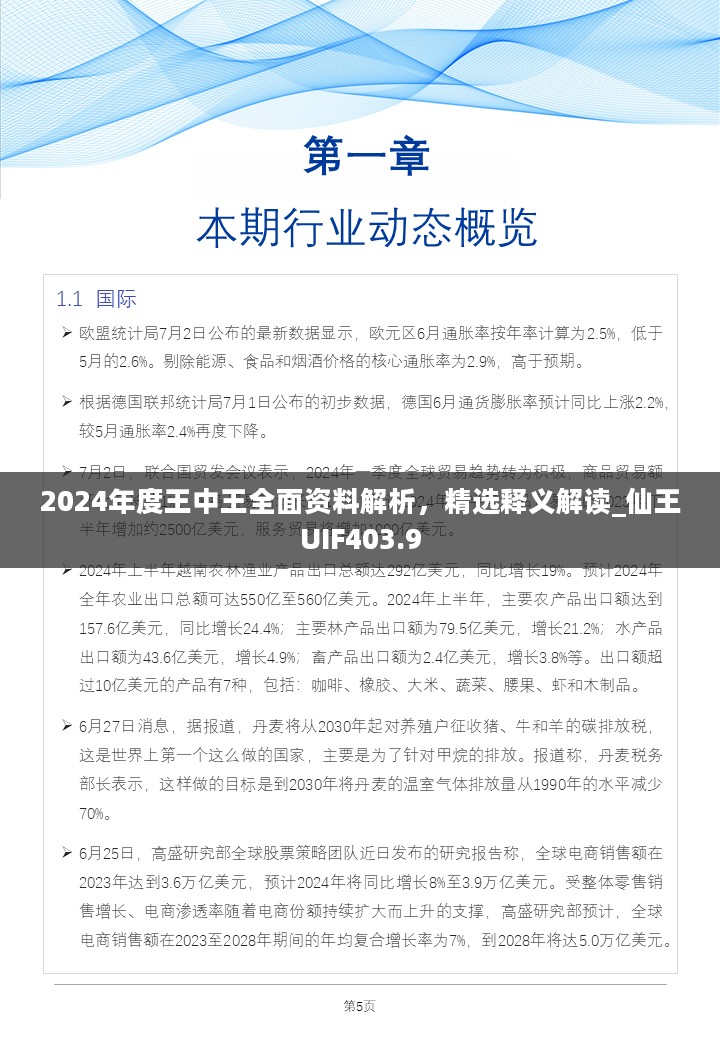 2024年度王中王全面资料解析，精选释义解读_仙王UIF403.9