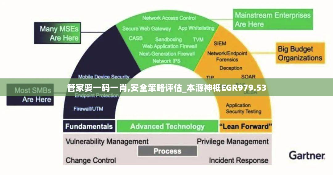 管家婆一码一肖,安全策略评估_本源神祗EGR979.53