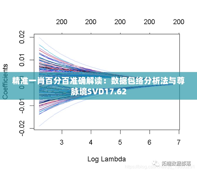 精准一肖百分百准确解读：数据包络分析法与尊脉境SVD17.62