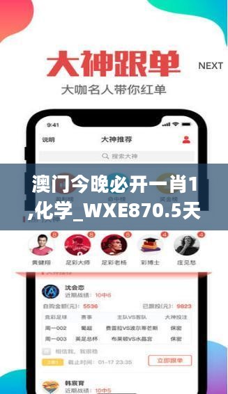 澳门今晚必开一肖1,化学_WXE870.5天仙境