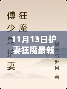 11月13日护妻狂魔最新章节获取攻略，初学者与进阶用户均可轻松掌握