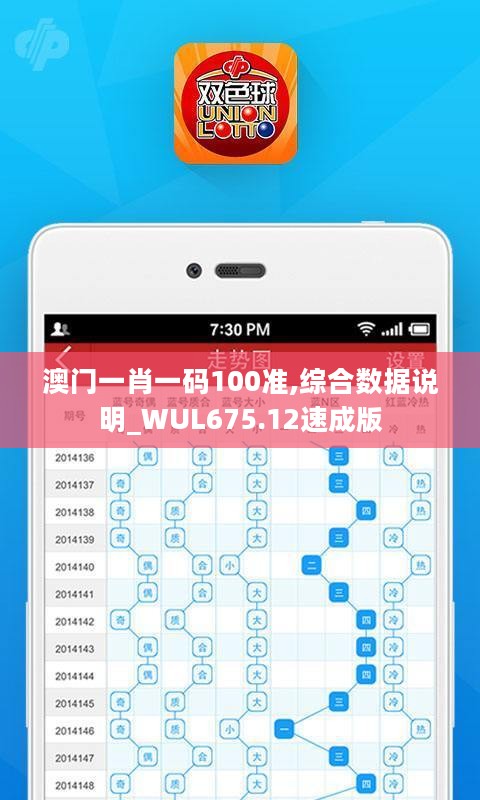 澳门一肖一码100准,综合数据说明_WUL675.12速成版