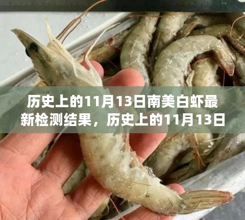 历史上的南美白虾检测深度解析，最新数据揭示的真相（附日期，11月13日）