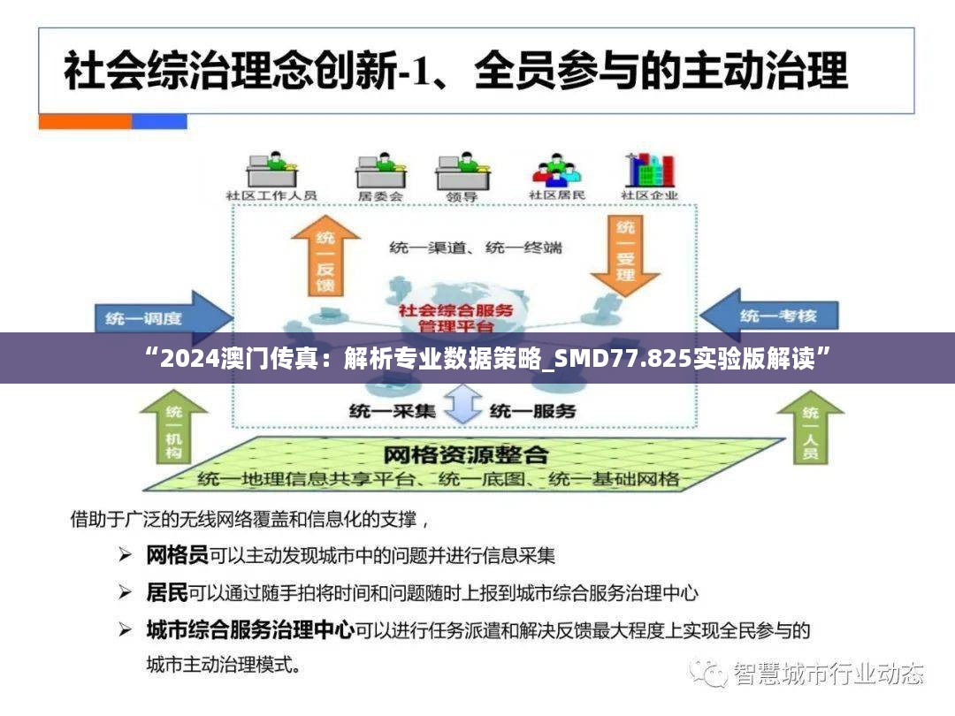 “2024澳门传真：解析专业数据策略_SMD77.825实验版解读”