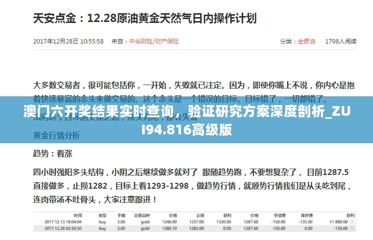 澳门六开奖结果实时查询，验证研究方案深度剖析_ZUI94.816高级版