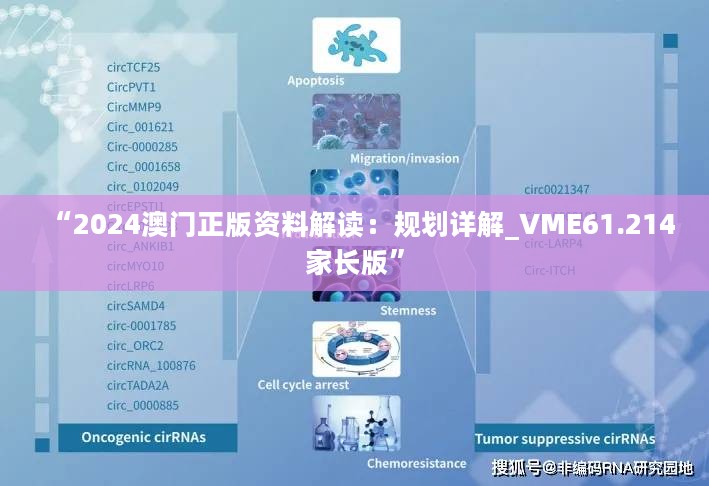 “2024澳门正版资料解读：规划详解_VME61.214家长版”