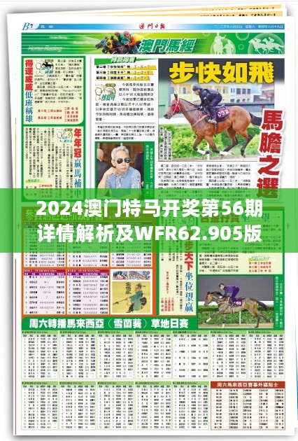 2024澳门特马开奖第56期详情解析及WFR62.905版交互展示