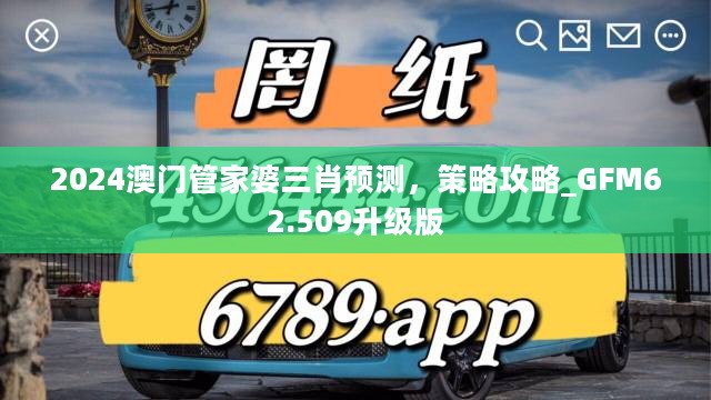 2024澳门管家婆三肖预测，策略攻略_GFM62.509升级版