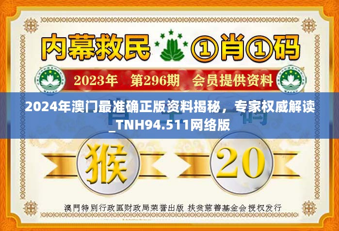 2024年澳门最准确正版资料揭秘，专家权威解读_TNH94.511网络版