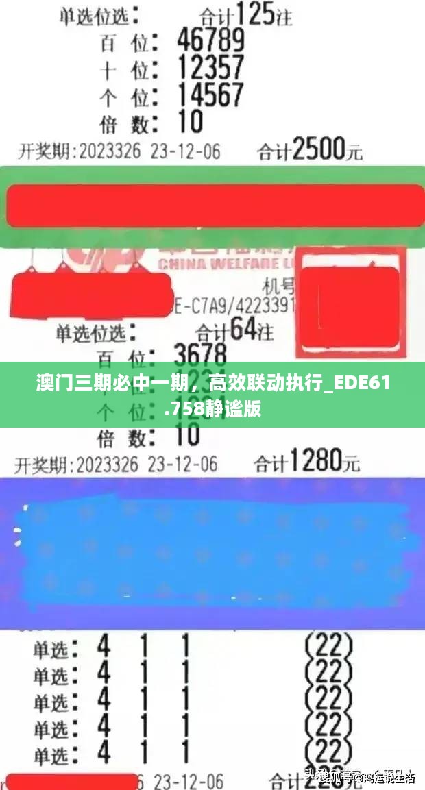 澳门三期必中一期，高效联动执行_EDE61.758静谧版