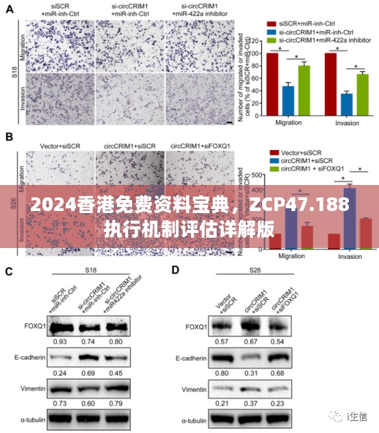 2024香港免费资料宝典，ZCP47.188执行机制评估详解版