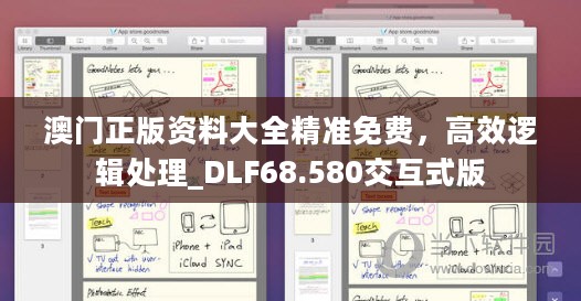 澳门正版资料大全精准免费，高效逻辑处理_DLF68.580交互式版