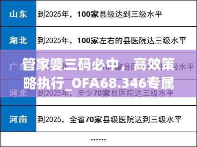 管家婆三码必中，高效策略执行_OFA68.346专属版