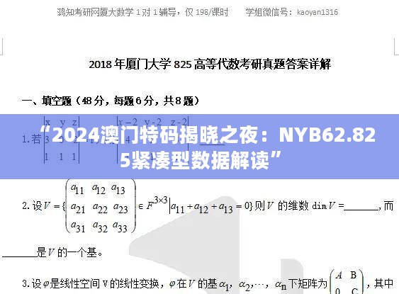 “2024澳门特码揭晓之夜：NYB62.825紧凑型数据解读”