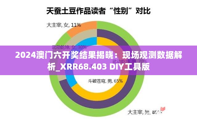 2024澳门六开奖结果揭晓：现场观测数据解析_XRR68.403 DIY工具版