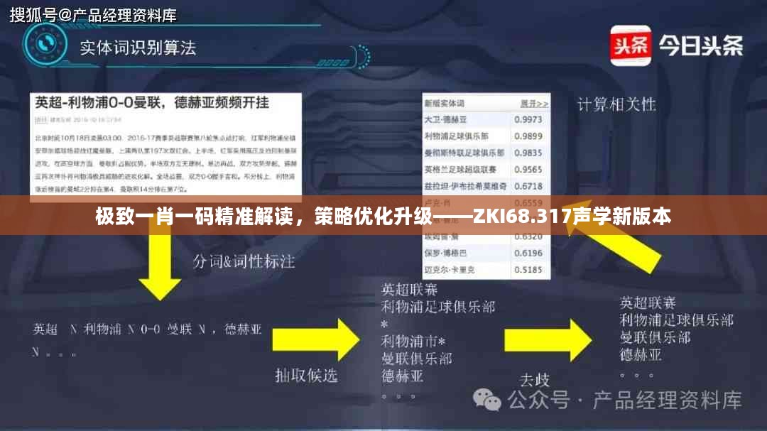 极致一肖一码精准解读，策略优化升级——ZKI68.317声学新版本