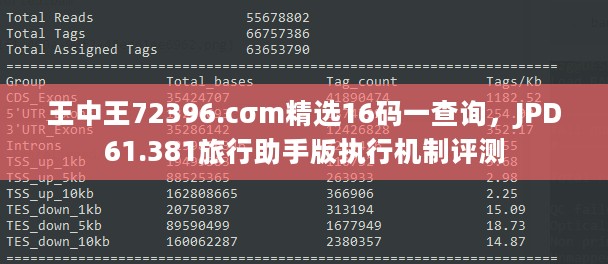 王中王72396.cσm精选16码一查询，JPD61.381旅行助手版执行机制评测