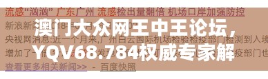 澳门大众网王中王论坛，YQV68.784权威专家解答区