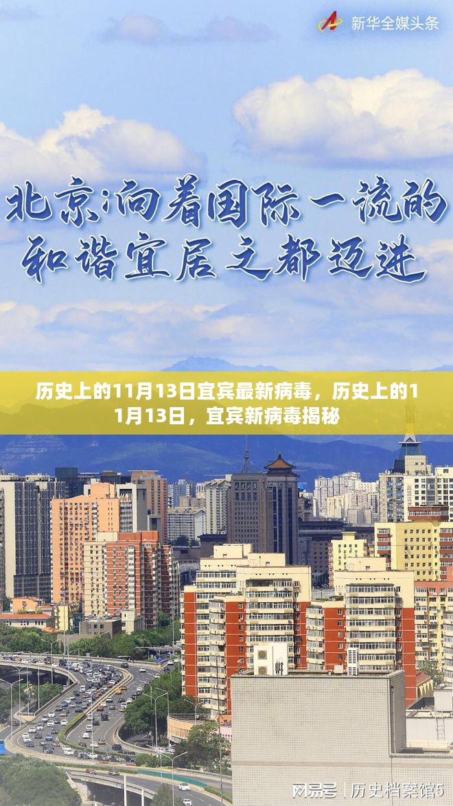 宜宾历史上的新病毒揭秘，揭秘宜宾最新病毒事件回顾（11月13日）