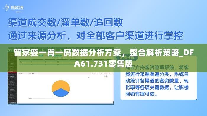 管家婆一肖一码数据分析方案，整合解析策略_DFA61.731零售版