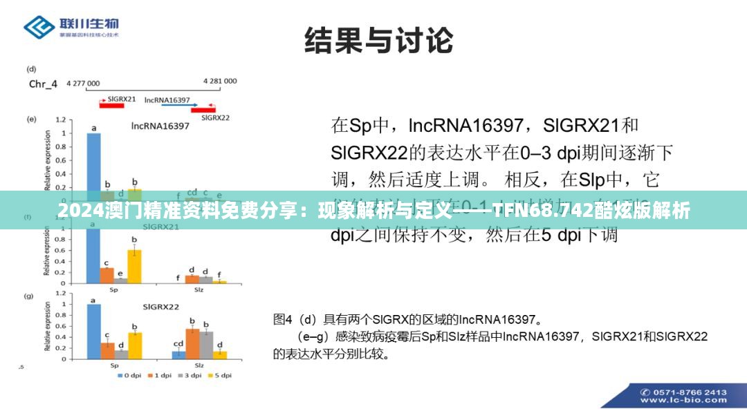 2024澳门精准资料免费分享：现象解析与定义——TFN68.742酷炫版解析