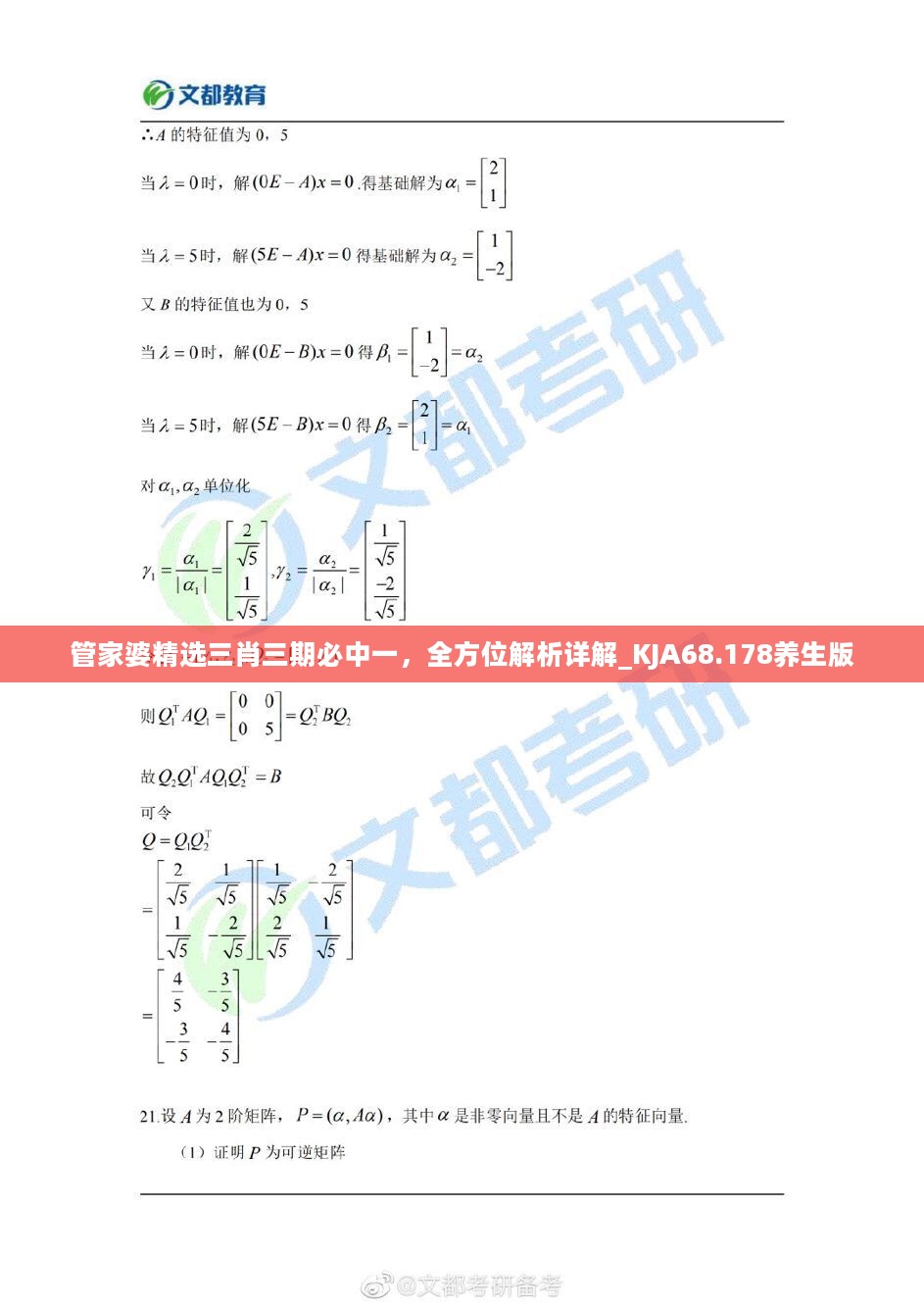 管家婆精选三肖三期必中一，全方位解析详解_KJA68.178养生版