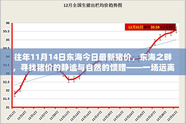 东海猪价静谧之旅，探寻今日最新猪价与自然的馈赠