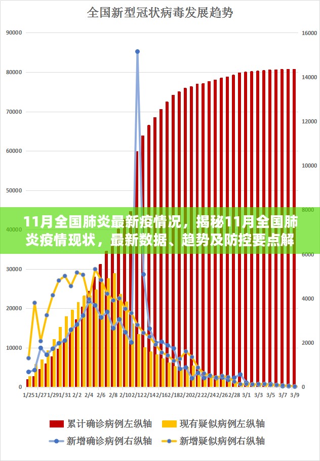 揭秘11月全国肺炎疫情现状，最新数据、趋势与防控要点解析