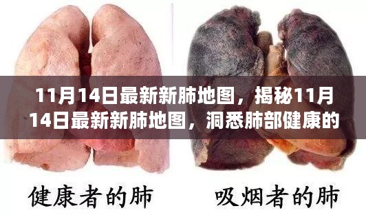 揭秘最新肺部健康地图，洞悉肺部健康的三大要点与最新更新动态（附日期）