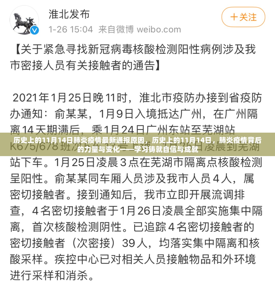 历史上的11月14日肺炎疫情深度解析，原因、力量变化与自我成就的启示