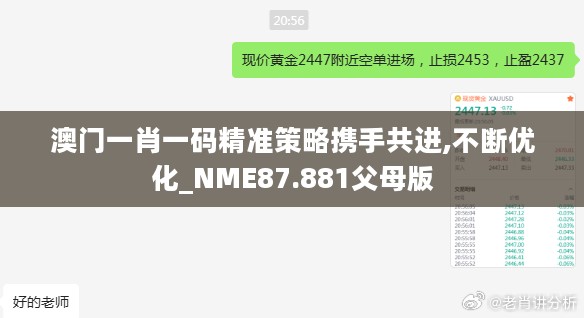 2024年11月15日 第128页