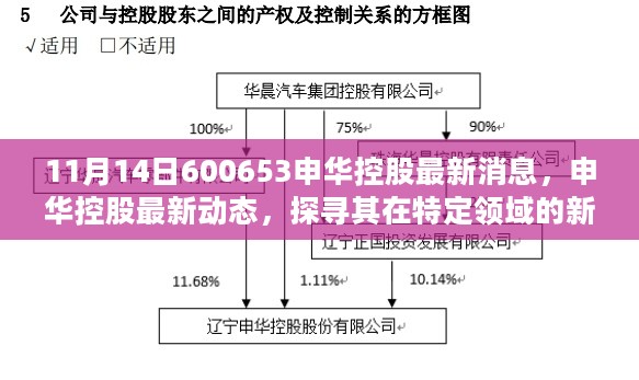 探寻申华控股新征程，最新动态与特定领域影响力揭秘