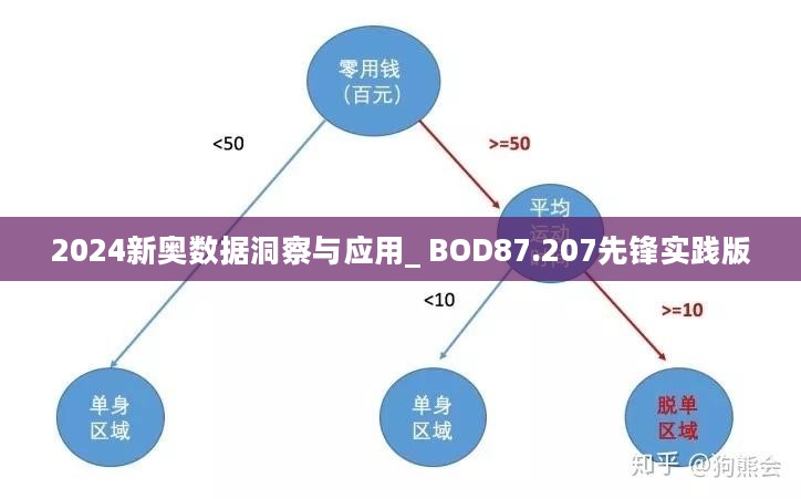 2024新奥数据洞察与应用_ BOD87.207先锋实践版