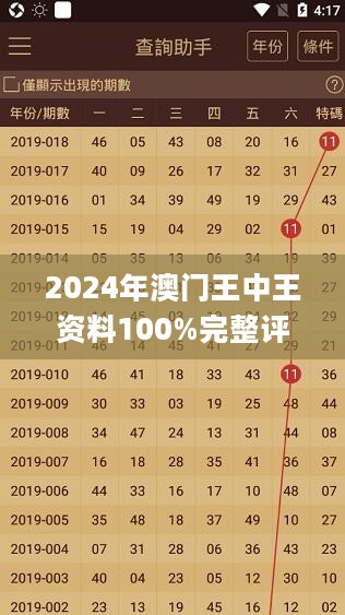 2024年澳门王中王资料100%完整评估_RBT87.439经典版