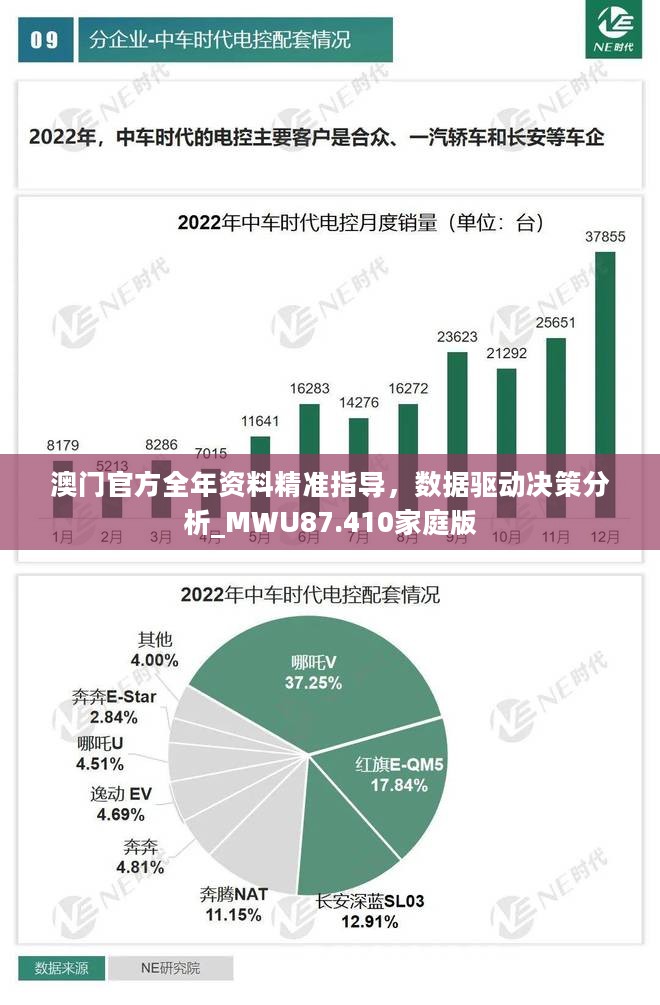 澳门官方全年资料精准指导，数据驱动决策分析_MWU87.410家庭版