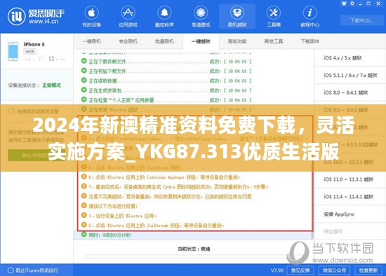 2024年新澳精准资料免费下载，灵活实施方案_YKG87.313优质生活版