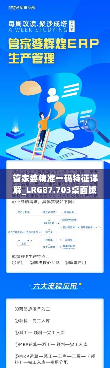 管家婆精准一码特征详解_LRG87.703桌面版